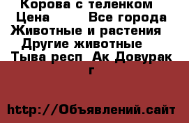 Корова с теленком › Цена ­ 69 - Все города Животные и растения » Другие животные   . Тыва респ.,Ак-Довурак г.